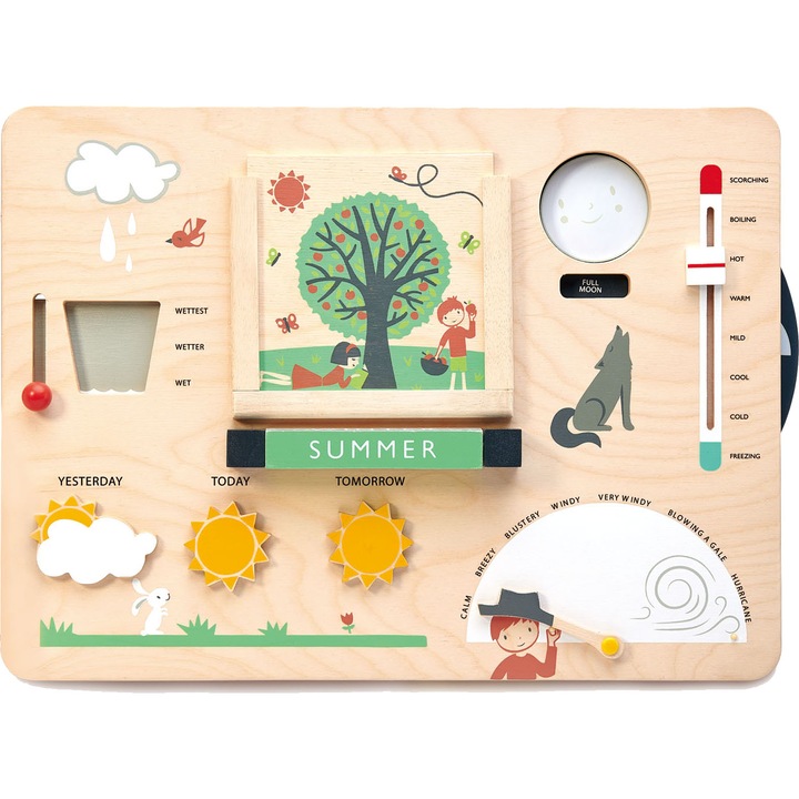 Set de joaca din lemn Tender Leaf Toys - Statie meteo, 13 piese