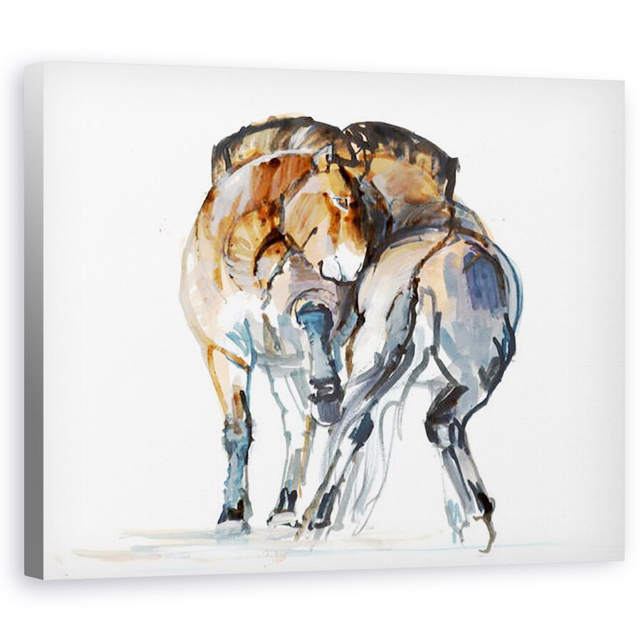 Tablou canvas - Mark Adlington - Dansul puterii Przewalski, 40 x 50 cm