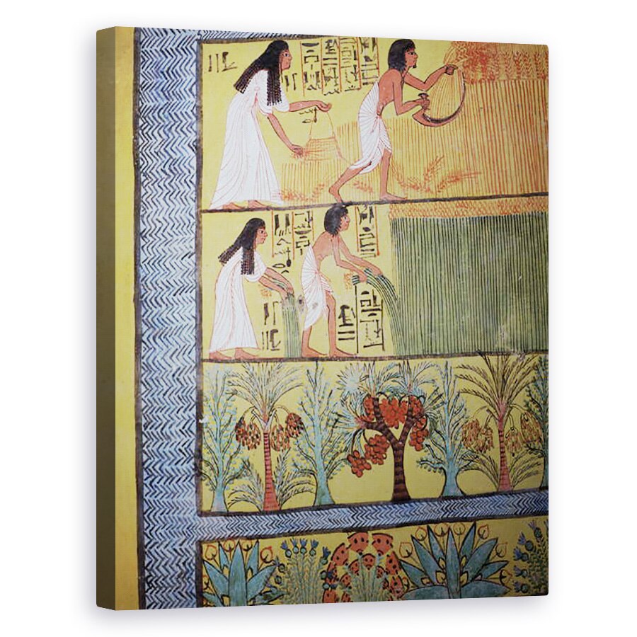 Tablou canvas - Egyptian 19th Dynasty - Detaliu al unei scene de recoltare pe Zidul de Est, de la Mormantul din Sennedjem, Satul Muncitorilor, 40 x 50 cm