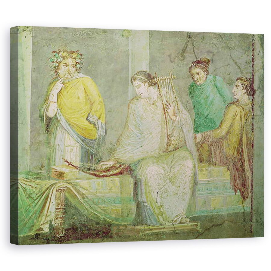 Tablou canvas - Roman - concert, 40 x 50 cm