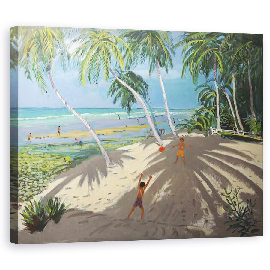Tablou canvas - Andrew Macara - Palmieri, Plaja Clovelly, Barbados,2013, 40 x 50 cm