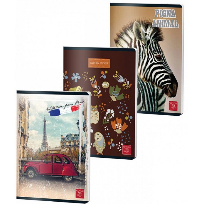 Set 10 caiete A5 Pigna, 80 file, 5 matematica + 5 dictando