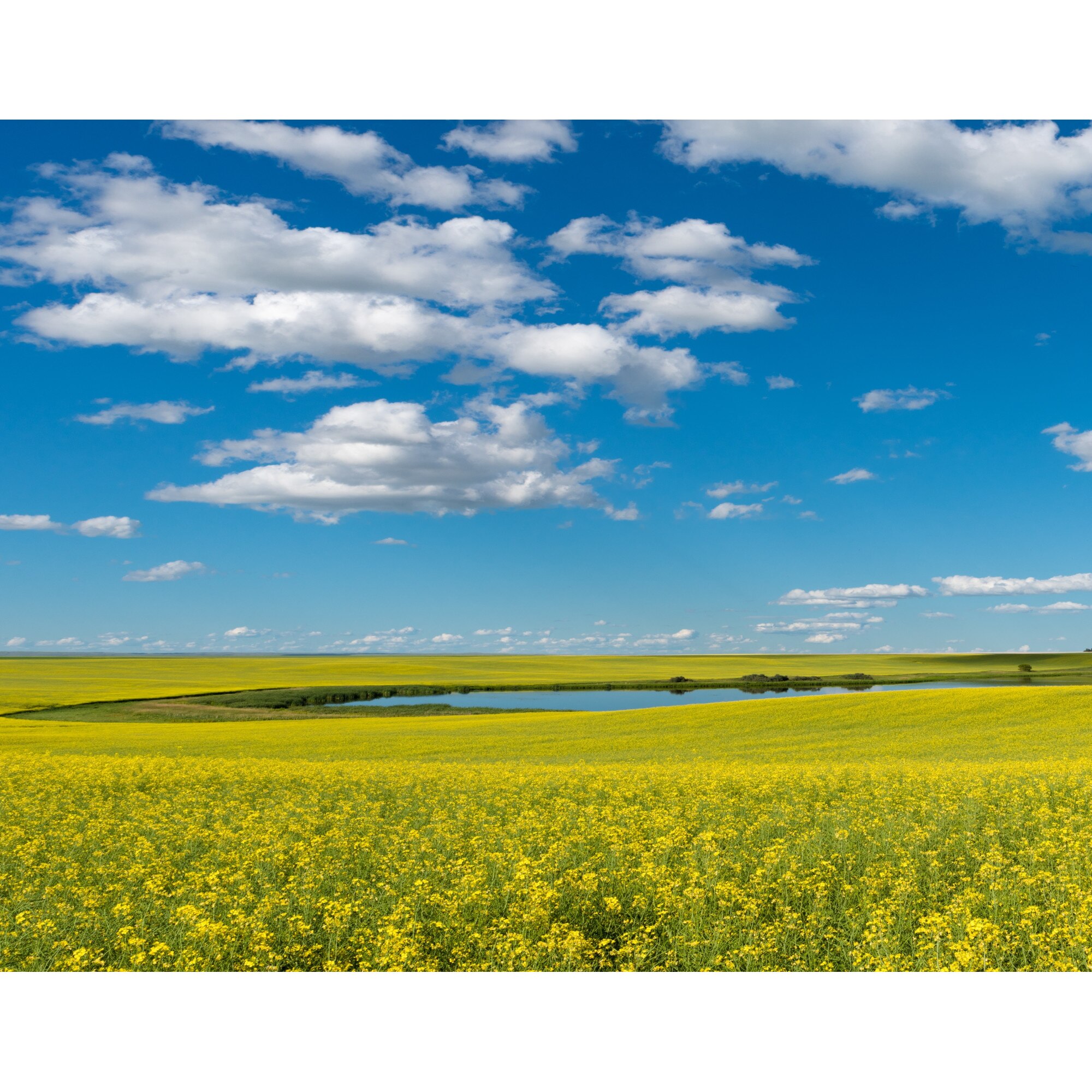 Fototapet de perete autoadeziv si lavabil Natura35, 220 x 135 cm