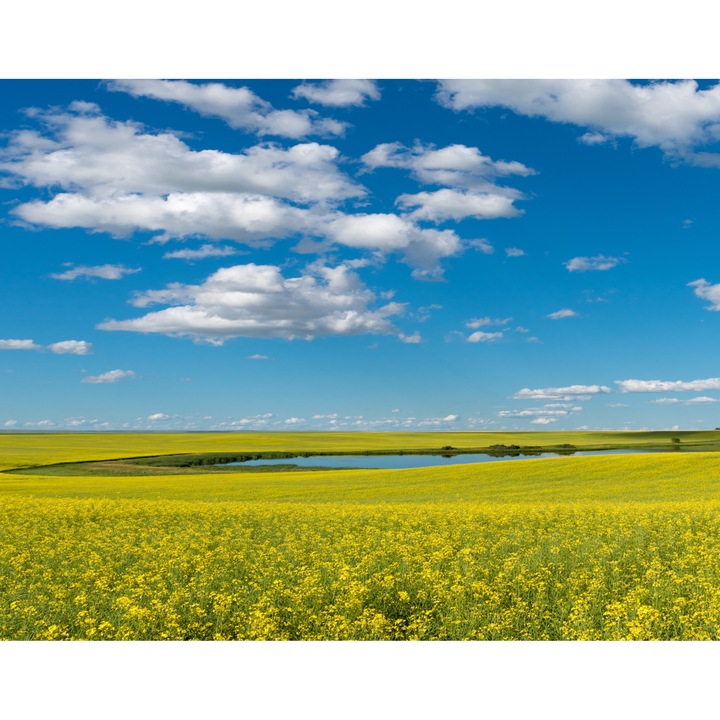 Fototapet de perete autoadeziv si lavabil Natura35, 220 x 135 cm