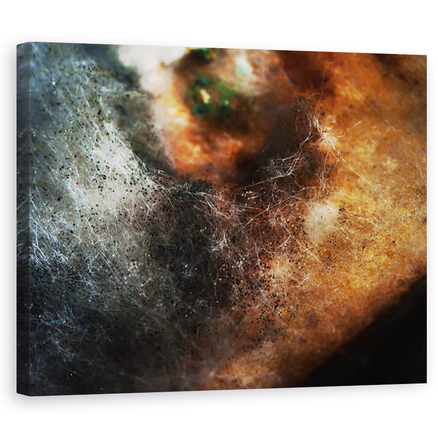 Tablou canvas - Ant Smith - Alte lumi nr. 5 - Modele in alimentatia veche, 2014, 60 x 75 cm