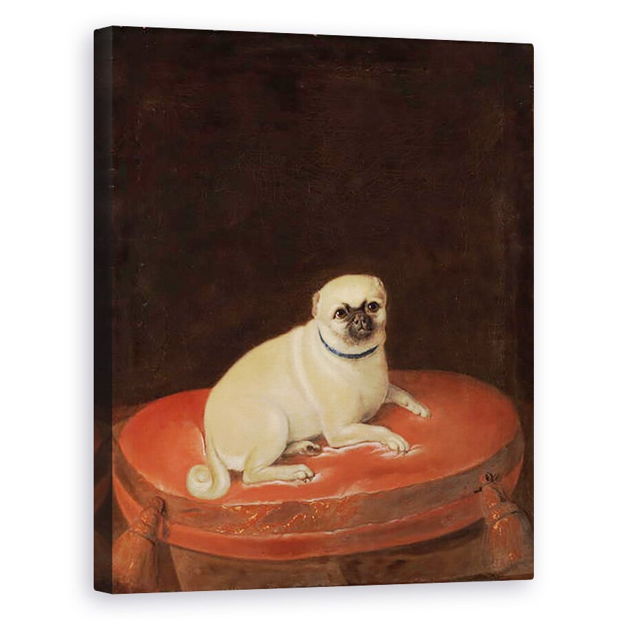 Tablou canvas - Anonymous - Pug, 60 x 75 cm