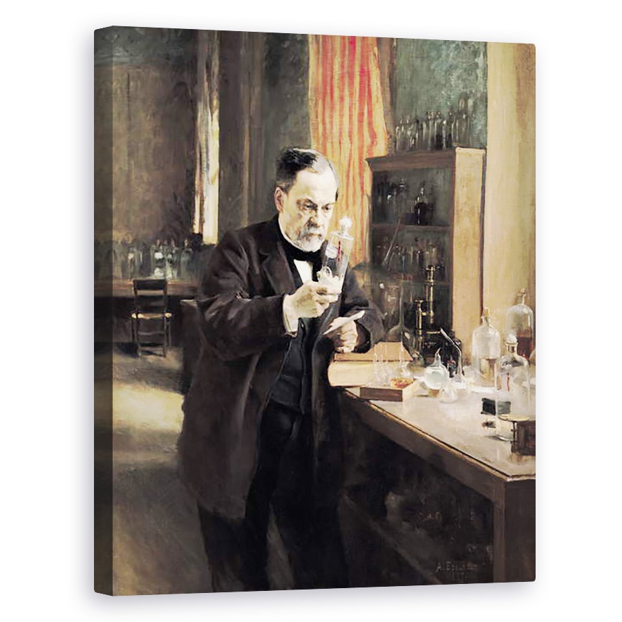 Tablou canvas - Albert Gustaf Aristides Edelfelt - Louis Pasteur 1822-95 in laboratorul sau, 60 x 75 cm