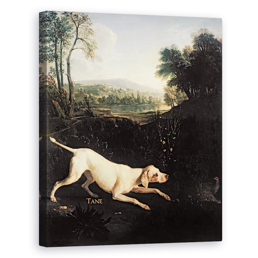 Tablou canvas - Alexandre-Francois Desportes - Cainele lui Louis al XIV-lea, 80 x 100 cm