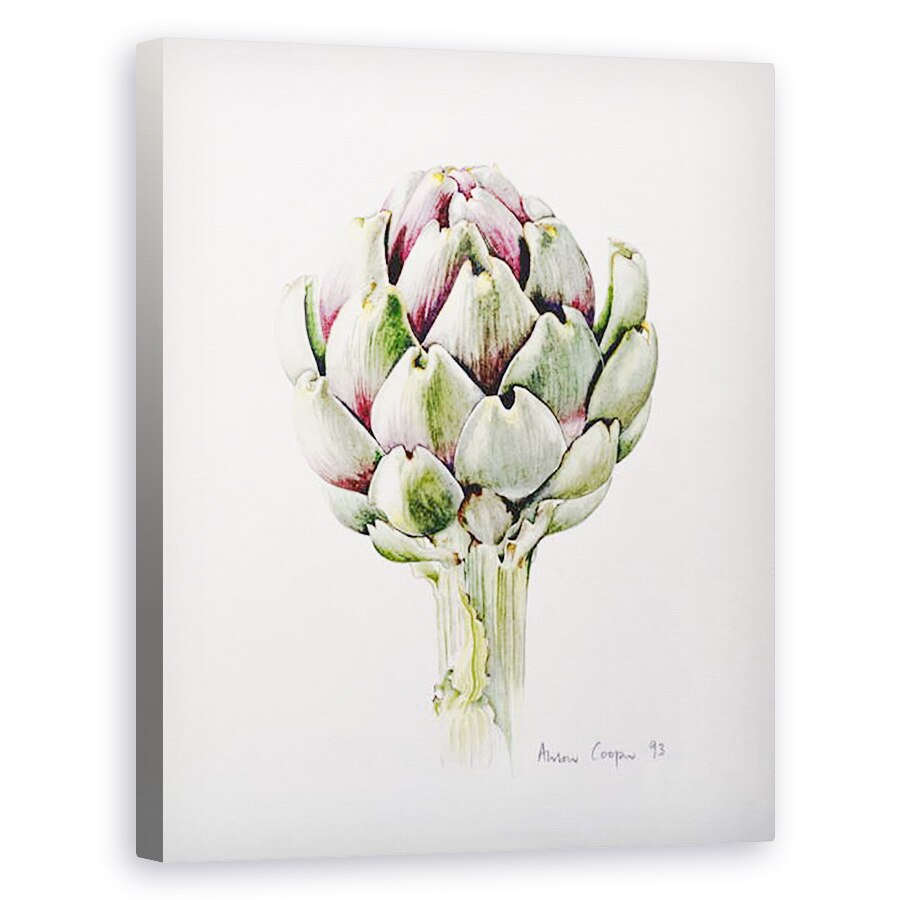 Tablou canvas - Alison Cooper - Studiu de anghinare, 60 x 75 cm