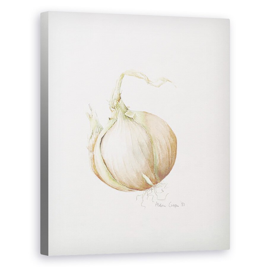 Tablou canvas - Alison Cooper - Studiu ceapa, 80 x 100 cm