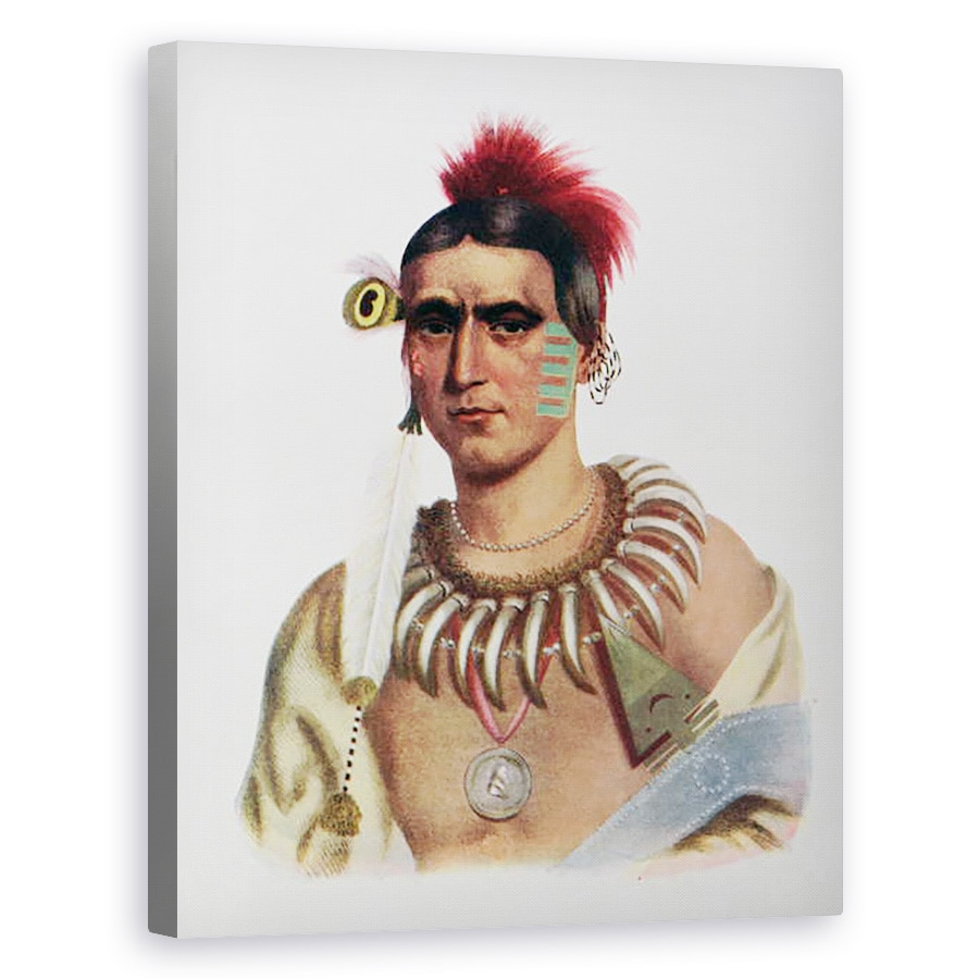 Tablou canvas - Scoal Americana - Ma-Has-Kah sau Norul Alb, un sef Iowa, ilustratie din Triburile indiene din America de Nord, Vol.1, de Thomas L. McKenney si James Hall, 60 x 75 cm