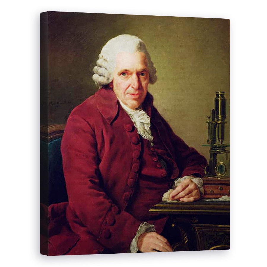 Tablou canvas - Alexander Roslin - Portrait of Louis Jean Marie Daubenton 1716-1800 1791, 40 x 50 cm