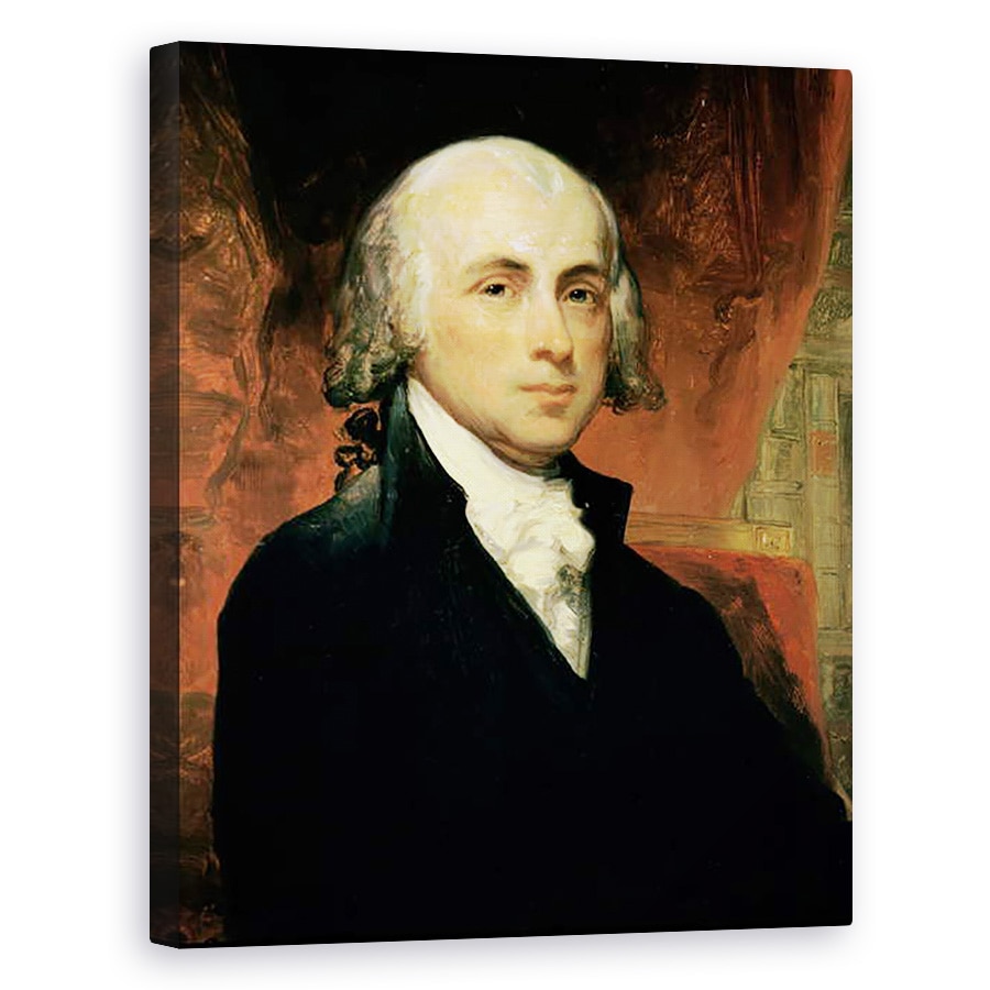Tablou canvas - Scoal Americana - James Madison, 40 x 50 cm