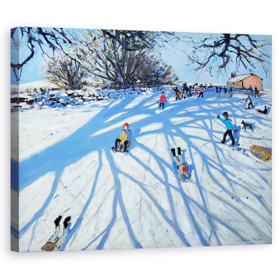 Tablou canvas - Andrew Macara - Umbra, 60 x 75 cm