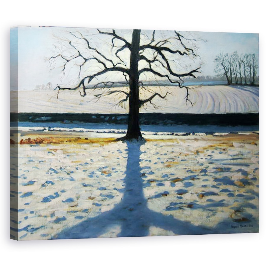 Tablou canvas - Andrew Macara - Copac si Umbra, Calke Abbey, 60 x 75 cm