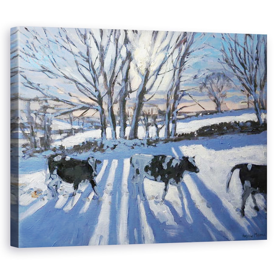 Tablou canvas - Andrew Macara - Vaci frieziene, 60 x 75 cm