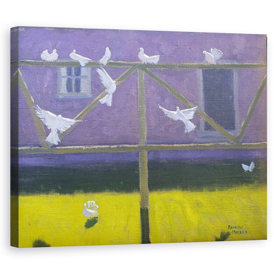 Tablou canvas - Andrew Macara - Porumbei, 60 x 75 cm