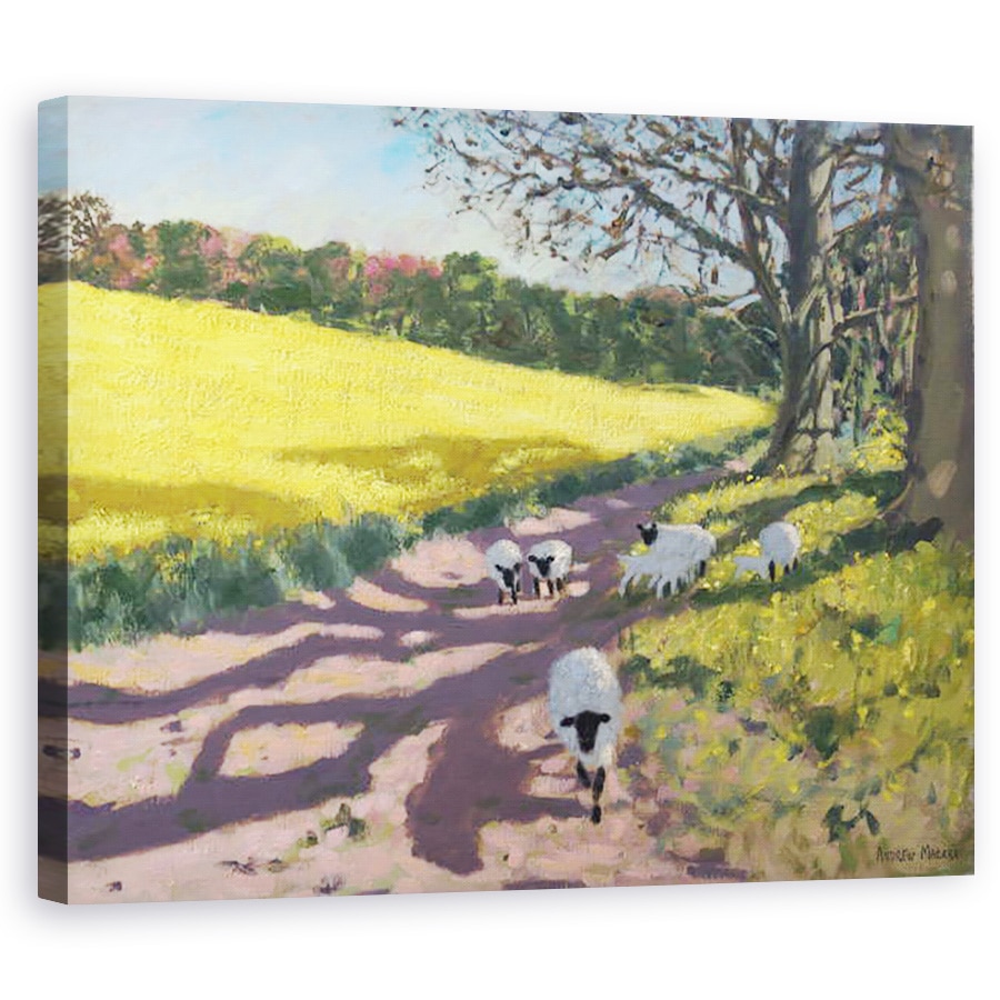 Tablou canvas - Andrew Macara - Oi si camp galben, Radbourne, Derby, 2017, 60 x 75 cm