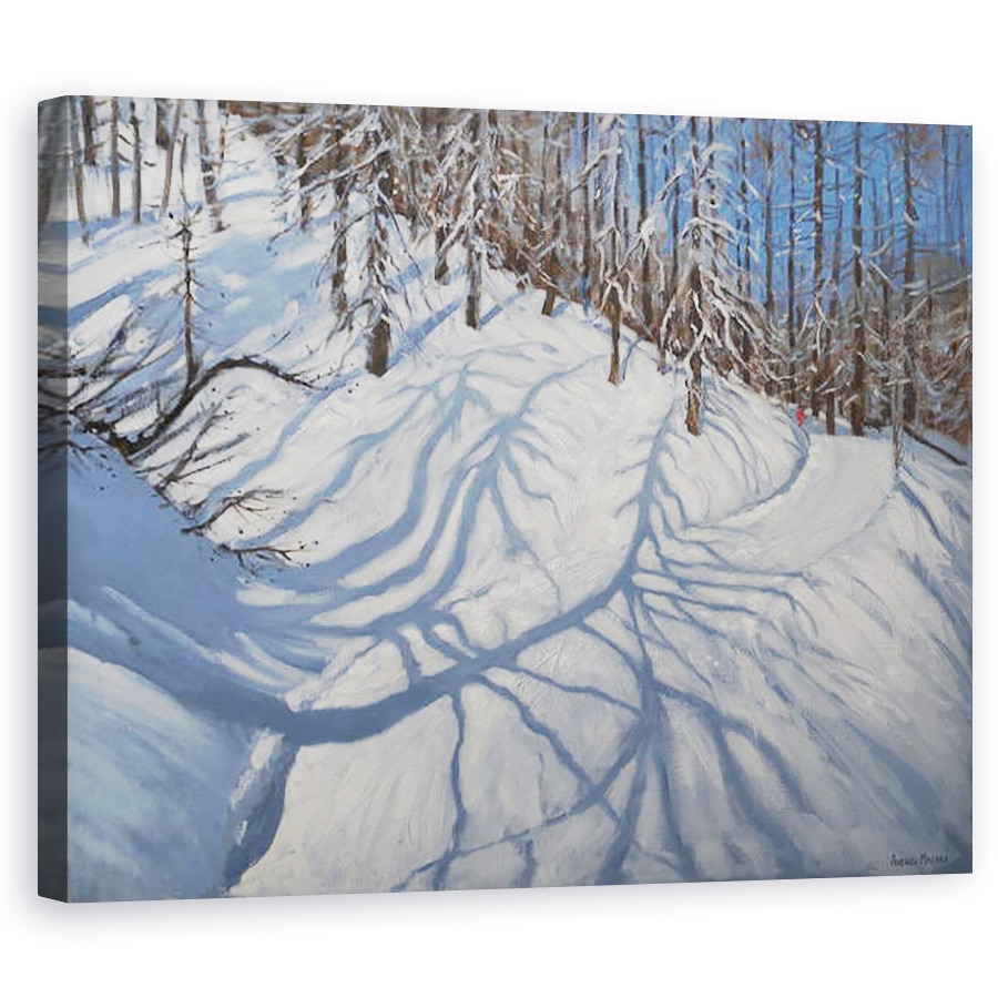 Tablou canvas - Andrew Macara - Umbre de brad, Tignes, 60 x 75 cm