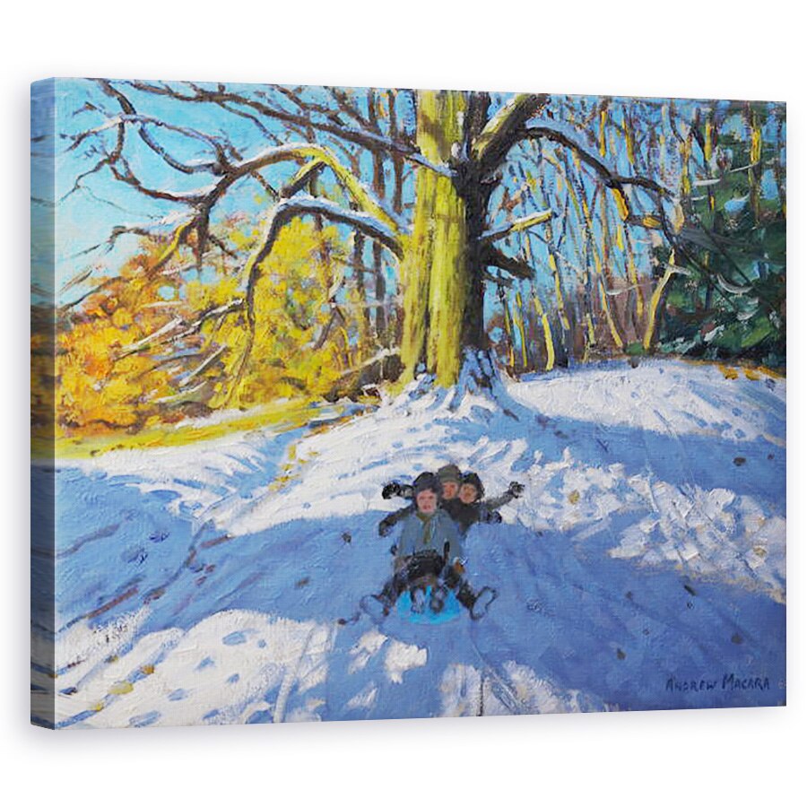 Tablou canvas - Andrew Macara - Trei pe o sanie, Alnestree Park Derby .2014, 60 x 75 cm