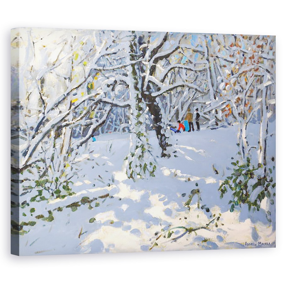 Tablou canvas - Andrew Macara - Sanius de Craciun in Woods,16x20