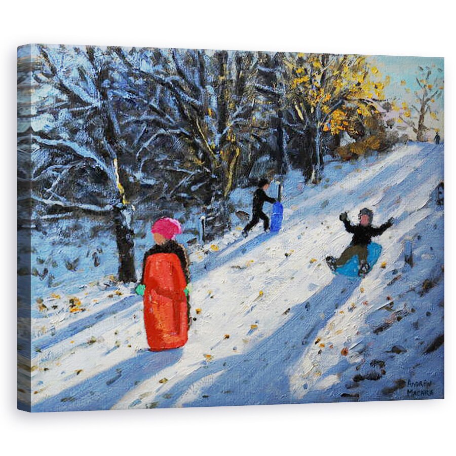 Tablou canvas - Andrew Macara - Sanie rosie, 40 x 50 cm