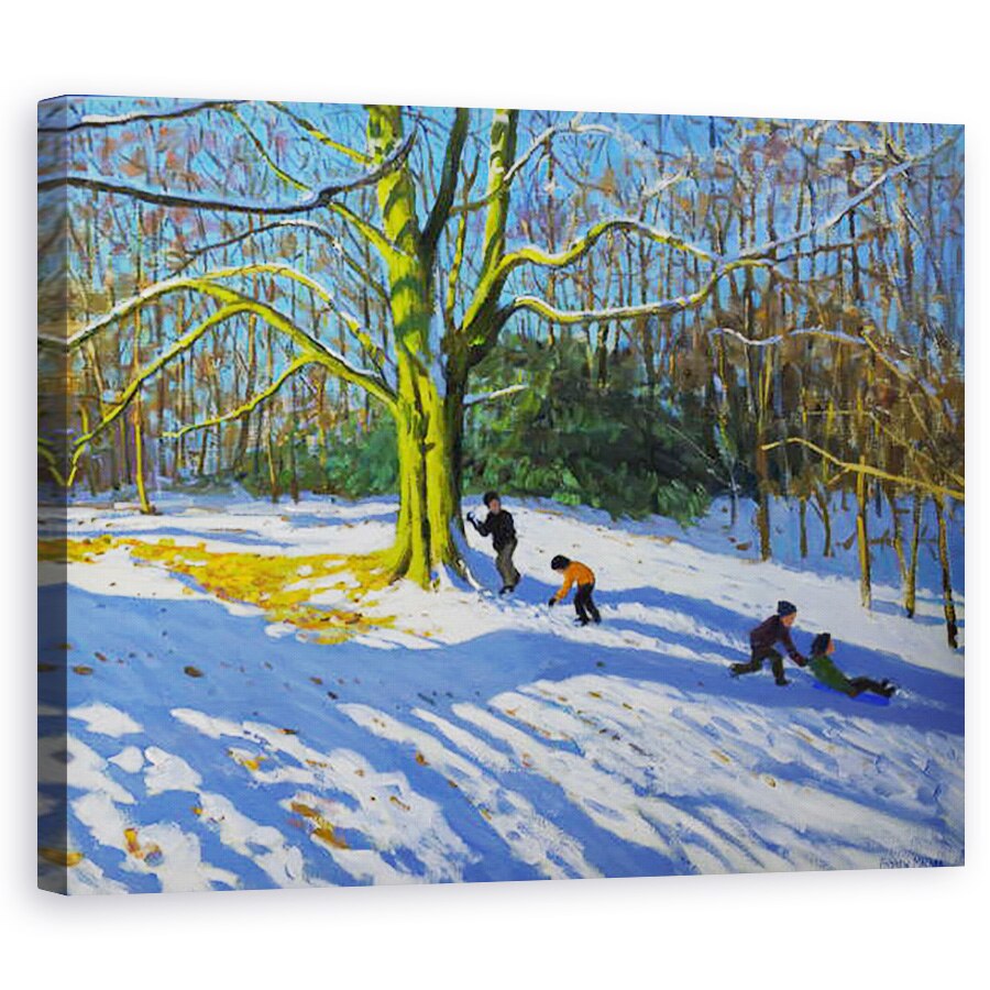 Tablou canvas - Andrew Macara - Detaliu al Top of Allestree Park,2014, 60 x 75 cm