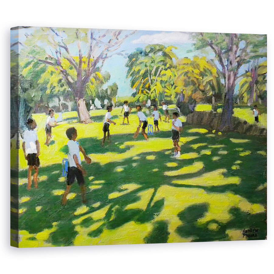 Tablou canvas - Andrew Macara - Cricket I, 60 x 75 cm