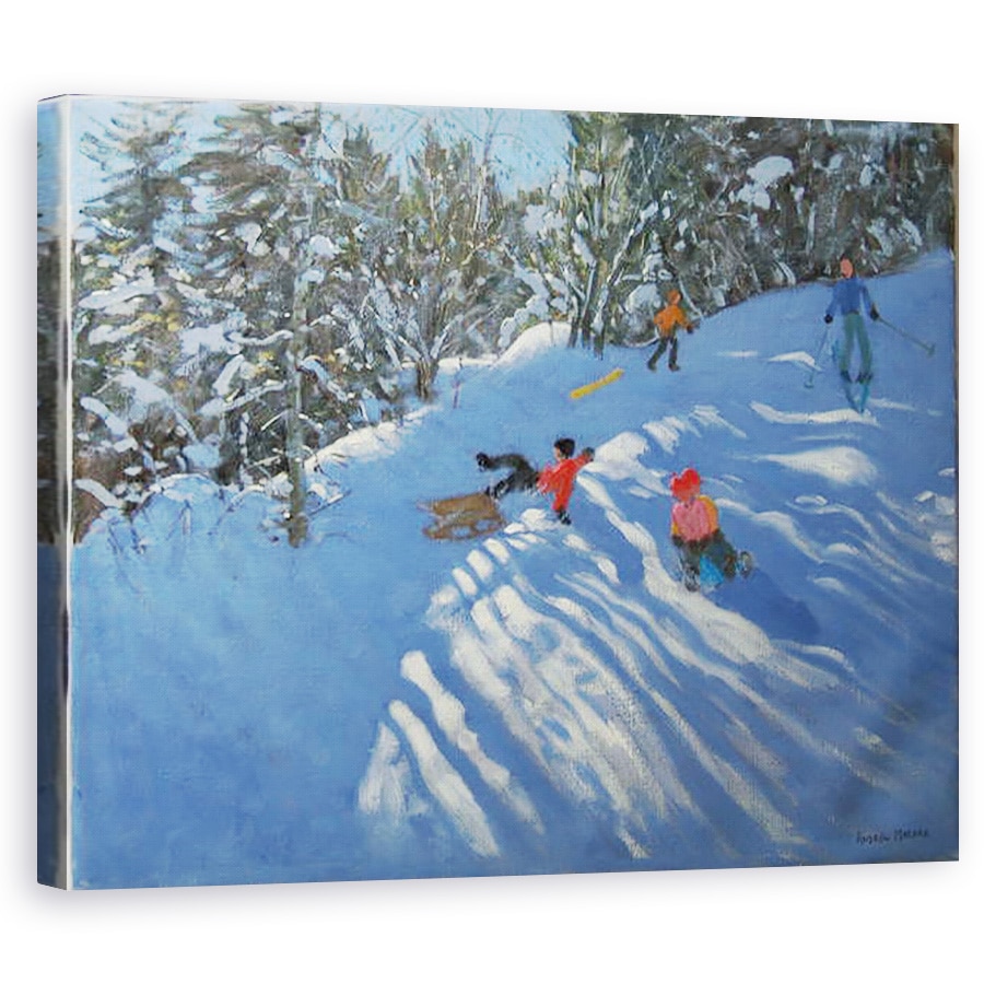 Tablou canvas - Andrew Macara - Caderea de pe sanie, 60 x 75 cm