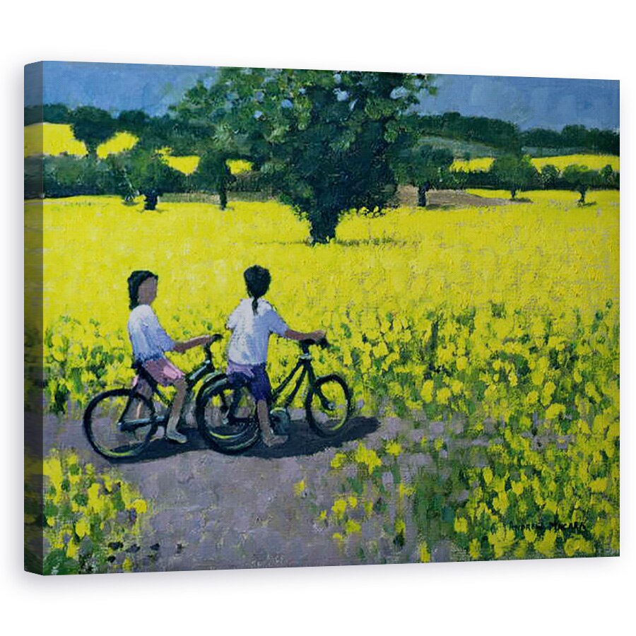 Tablou canvas - Andrew Macara - Camp Galben, Kedleston, 60 x 75 cm