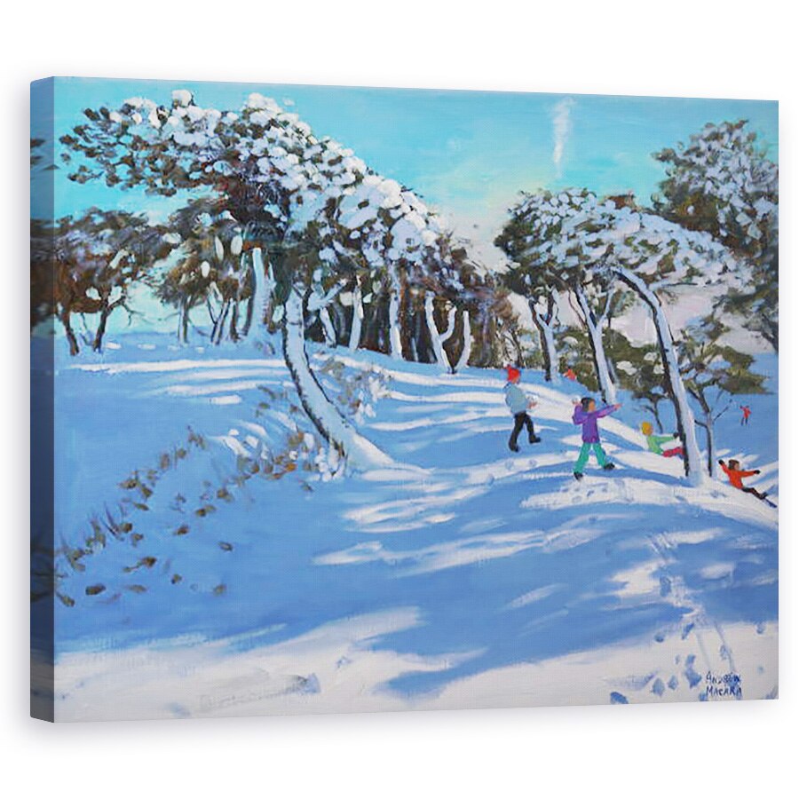 Tablou canvas - Andrew Macara - Iarna, Ladmanlow, Derbyshire, 2013, 60 x 75 cm