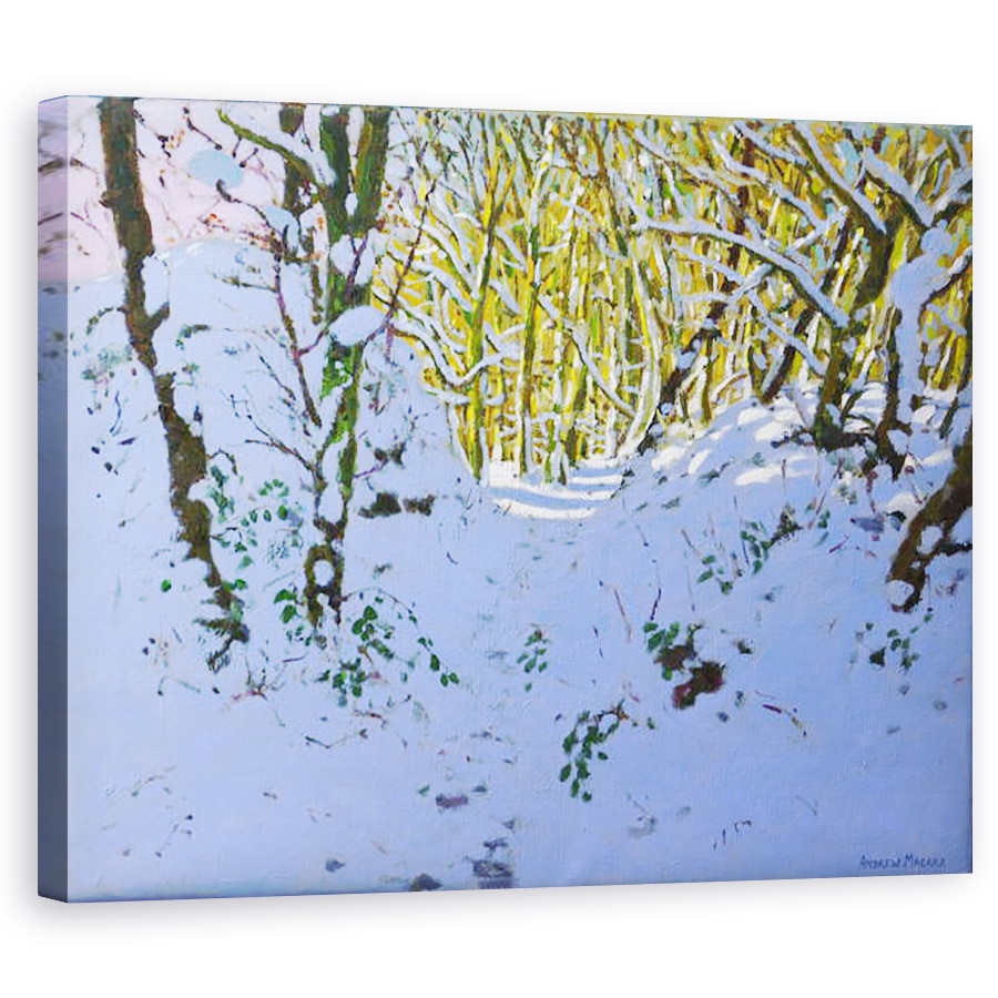 Tablou canvas - Andrew Macara - Calea prin padure in timpul iernii, Derbyshire, 60 x 75 cm