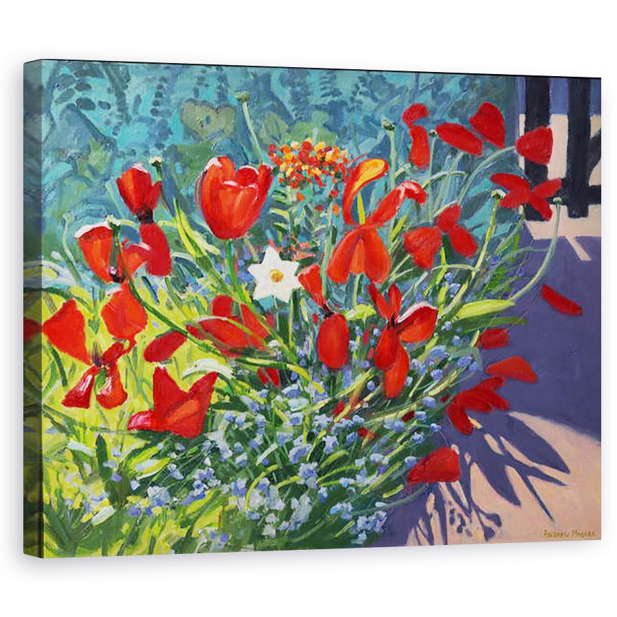 Tablou canvas - Andrew Macara - Lalele la poarta, 2017, 60 x 75 cm