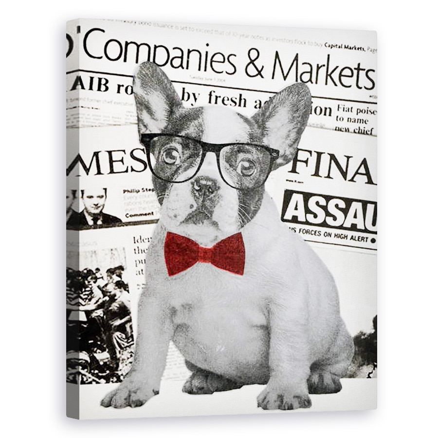 Tablou canvas - Anne Storno - Wall street dog, 2015, 40 x 50 cm