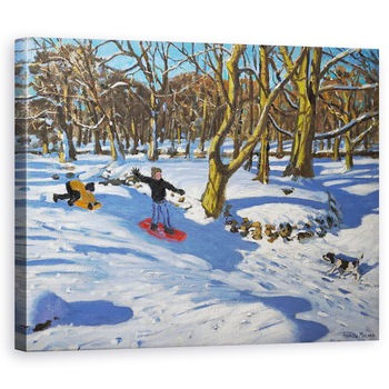 Tablou canvas - Andrew Macara - Sanie rosie, Sala Lomberdale, Derbyshire,2014, 60 x 75 cm Tablou canvas - Andrew Macara - Sanie rosie, Sala Lomberdale, Derbyshire,2014, 60 x 75 cm