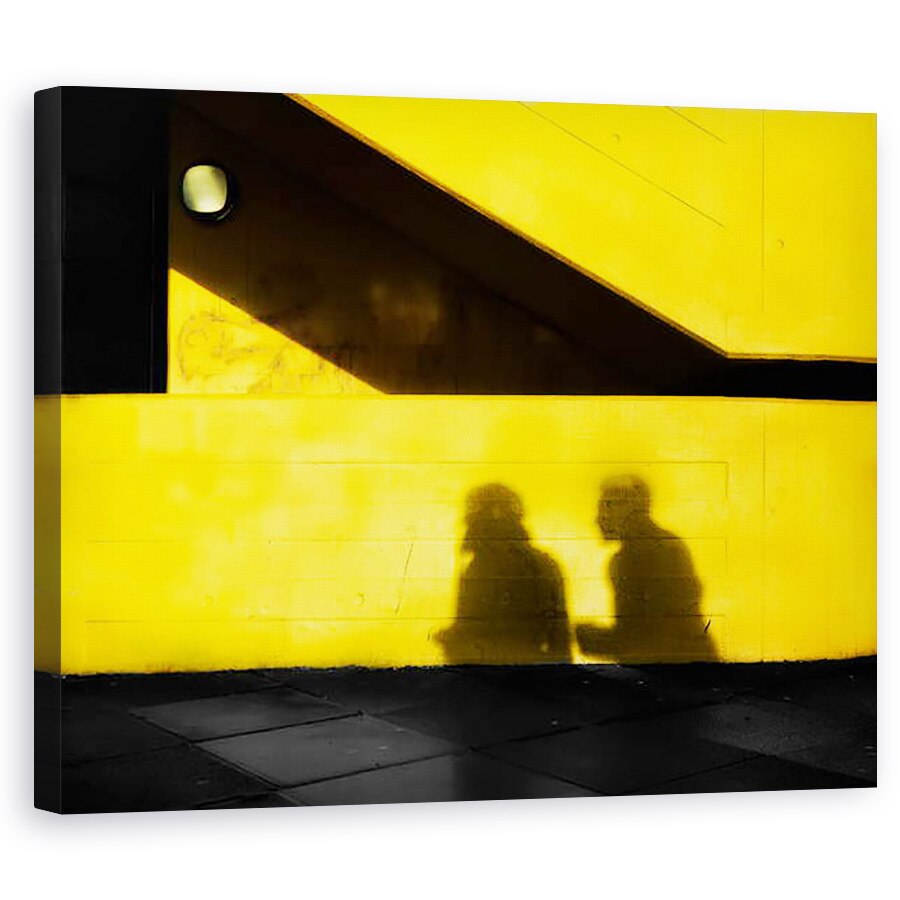 Tablou canvas - Ant Smith - Shadoy Urmarind, 2020, 40 x 50 cm