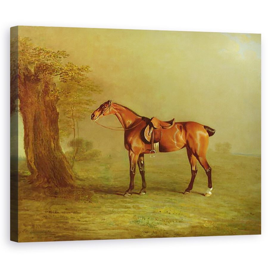 Tablou canvas - Benjamin Marshall - Cal de curse, 60 x 75 cm