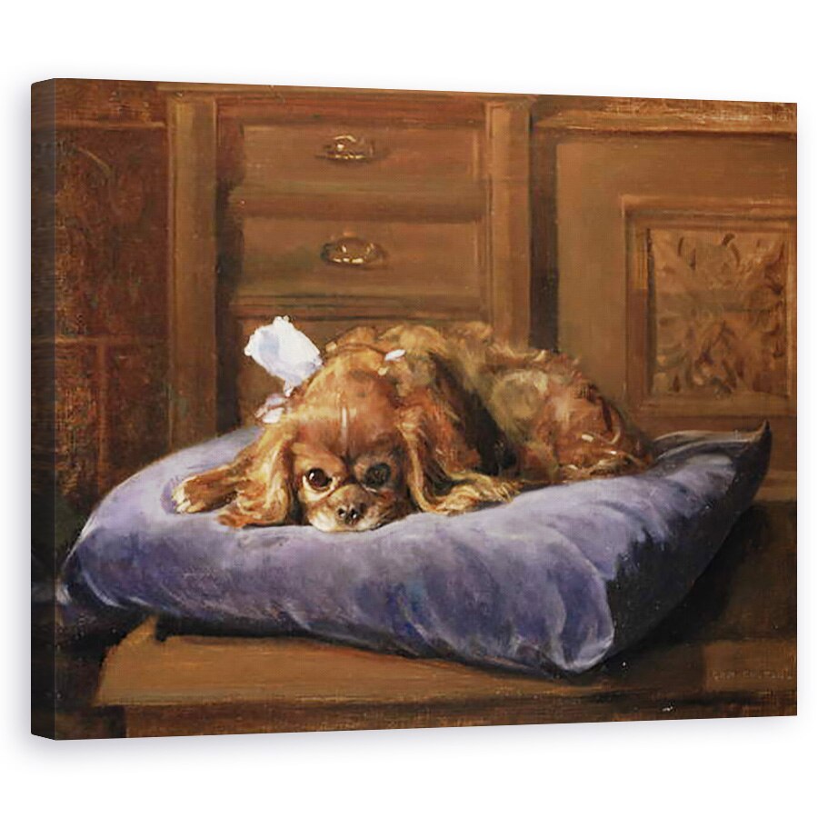 Tablou canvas - C. Fulton - Regele Charles Spaniel, 60 x 75 cm