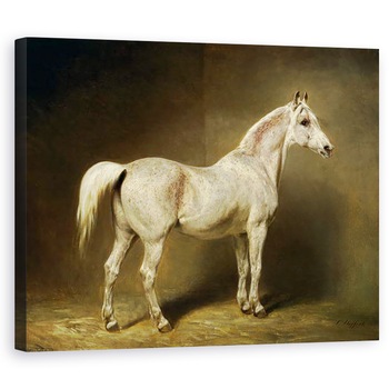 Tablou canvas - Carl Constantin Steffeck - Beatrice, calul alb arab al lui Helmuth Graf von Moltke, 40 x 50 cm Tablou canvas - Carl Constantin Steffeck - Beatrice, calul alb arab al lui Helmuth Graf von Moltke, 40 x 50 cm