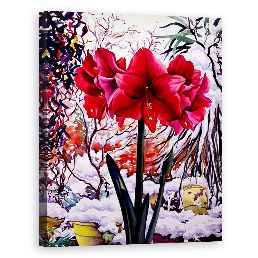 Tablou canvas - Christopher Ryland - Amaryllis de fereastra de zapada, 40 x 50 cm