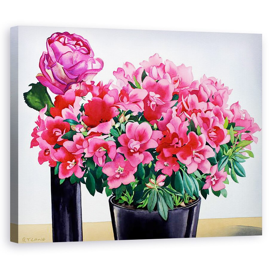 Tablou canvas - Christopher Ryland - Azalea Trandafir, 40 x 50 cm