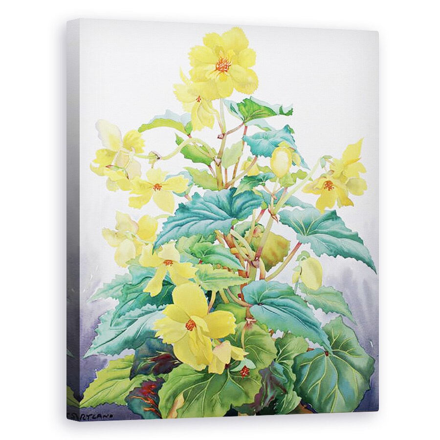 Tablou canvas - Christopher Ryland - Begonia Galben 2, 40 x 50 cm