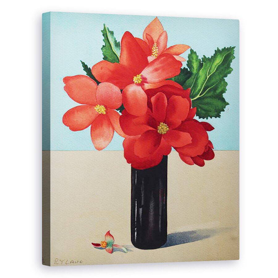 Tablou canvas - Christopher Ryland - Begonii Rosii, 40 x 50 cm