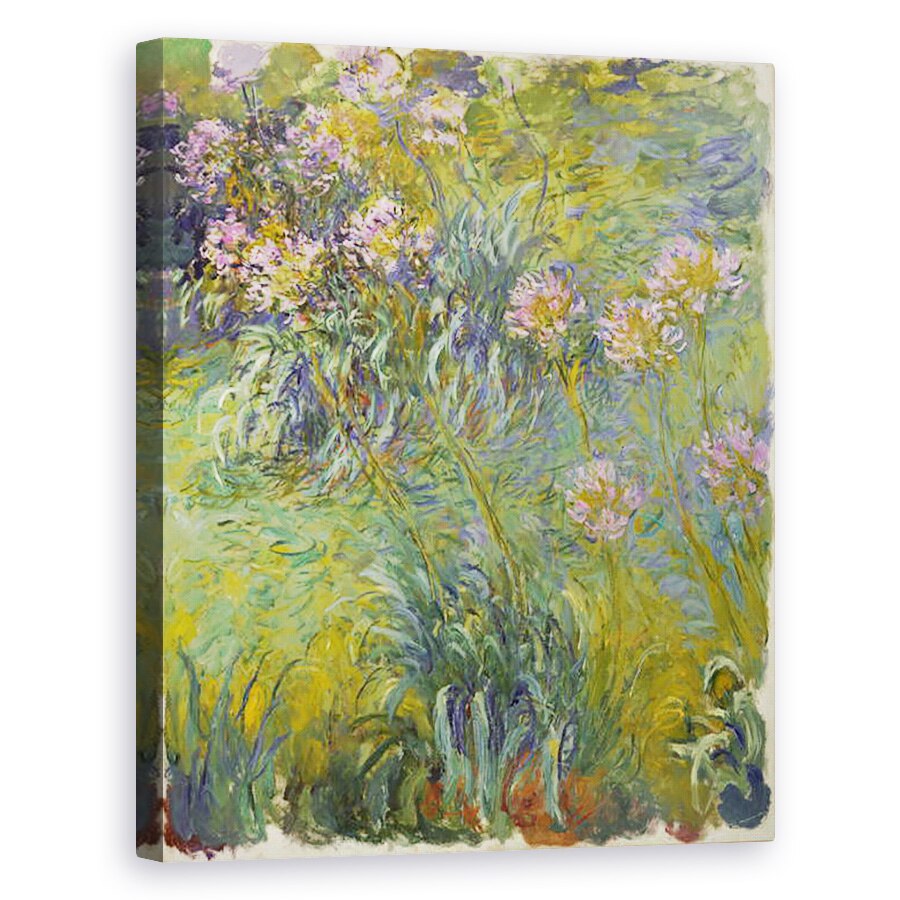 Tablou canvas - Claude Monet - Agapanthus, 40 x 50 cm