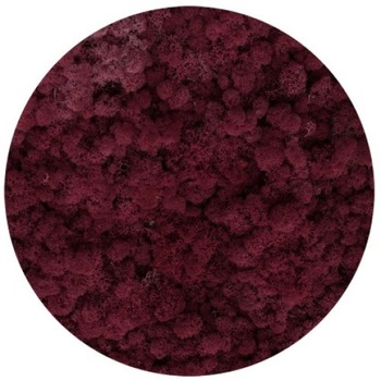 Licheni stabilizati, Burgunder 500 g, Reindeer Moss, The Tulip and The Rose Shop Licheni stabilizati, Burgunder 500 g, Reindeer Moss, The Tulip and The Rose Shop