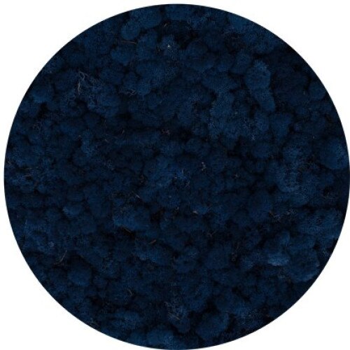 Licheni stabilizati, Classic Blue, 500 g, Reindeer Moss, The Tulip and The Rose Shop