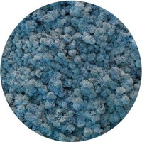 licheni stabilizati ice blue 500 g reindeer moss the tulip and the rose shop imagen 33_0_
0