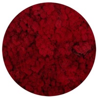 licheni stabilizati red 500 g reindeer moss the tulip and the rose shop imagen 46_0_
0