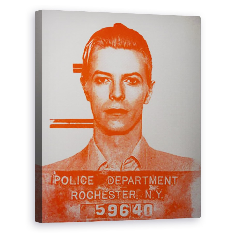 Tablou canvas - David Studwell - David Bowie, 40 x 50 cm