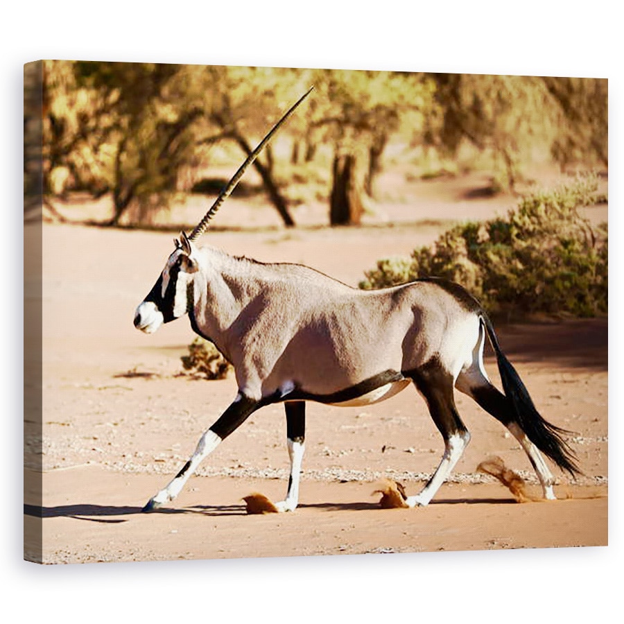 Tablou canvas - Eric Meyer - Oryx, Desertul Namib, 2017, 60 x 75 cm